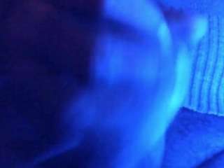 Live stream of flexonaier