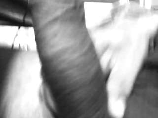 flexonaier