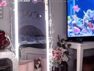 Mshunnybunnyy's cam show statistics and live stream