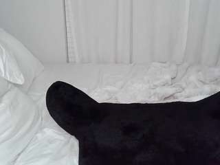 january-rose from CamSoda is Freechat