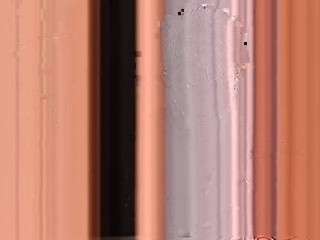 stylerousex