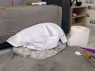 sweetdaiana23 webcam