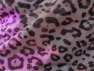 alice-rausing webcam