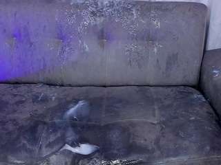 wettdiamond webcam
