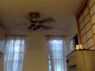 arcticwombat92 webcam