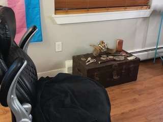 luluvaladon's CamSoda show and profile