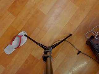  angel-avni chat room