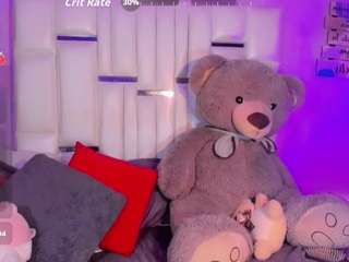 steiseereyes webcam