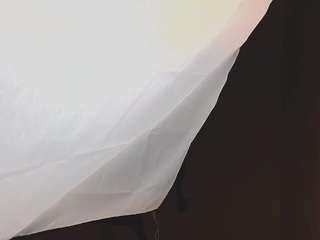 alisafox webcam
