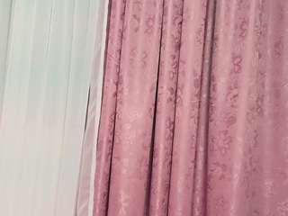 alisafox webcam model