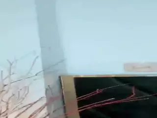 AlisaFox's Live Sex Cam Show