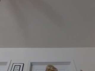 jordynlvee