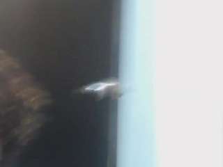 rav3nnn webcam