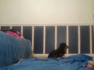 playwitme2000 webcam