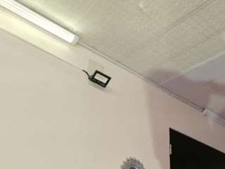 maeve-ds webcam model