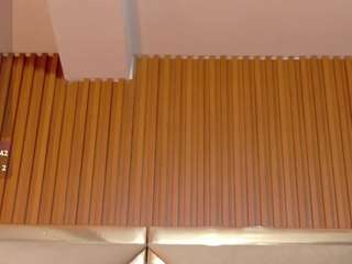 miss-dinah webcam model