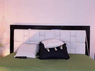 hanna-palmer webcam