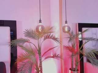 hanna-palmer webcam