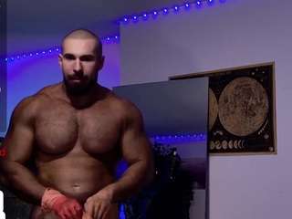 musculus