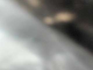 bella_adamss_