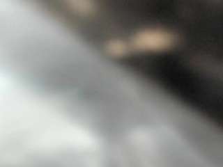 bella_adamss_