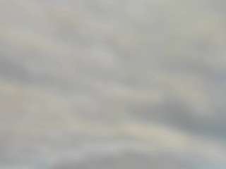 bella_adamss_