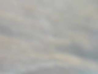 bella_adamss_