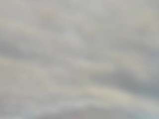 bella_adamss_