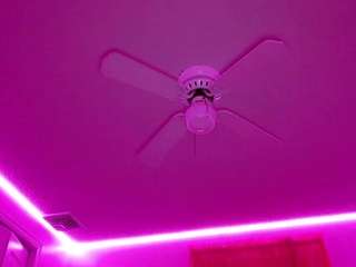 sylverlotus Live Webcam on CamSoda