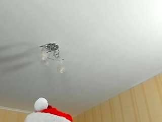 pamdirtyplay Toy live webcam