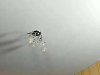 Live webcam model pamdirtyplay on Soda Cams