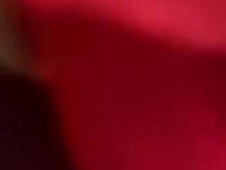 13bolpen