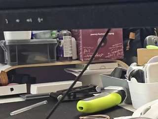 13bolpen