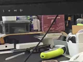 13bolpen