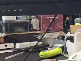 13bolpen