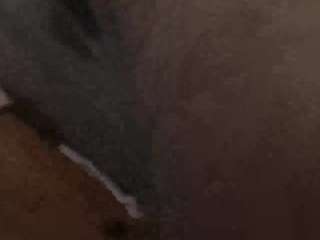 13bolpen