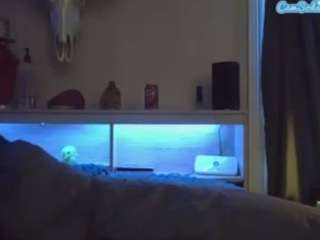 slitLUTpup