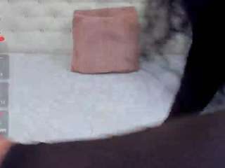 shycinderelaa webcam