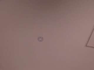 Toys, Shaved pussy, Lovense, Flashing, Feet, Dildo, Creampie, Brown eyes, B..., Backseat Blowjob 6