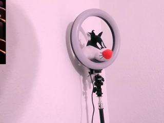britteebee live webcam show