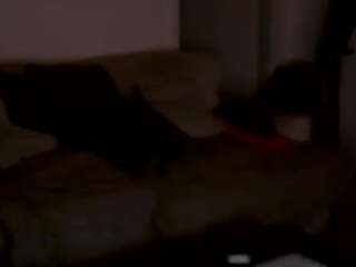 Dennisbambi83's cam show statistics and live stream
