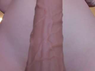 stefaagomez Live Webcam on CamSoda