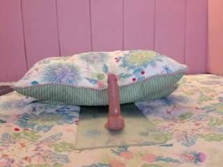 stefaagomez Live Webcam on CamSoda