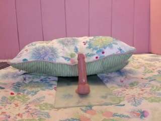 stefaagomez Live Webcam on CamSoda