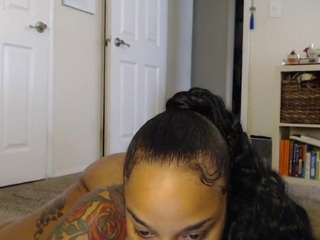 elegance webcam