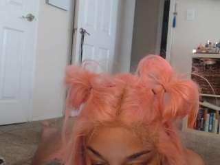 elegance webcam model