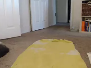 Elegance's Live Sex Cam Show
