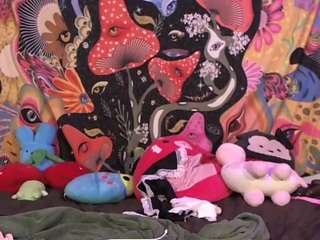 karminy webcam