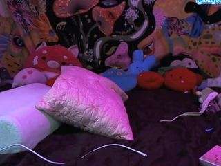 karminy webcam