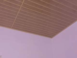 amaia-daniells Live Webcam on CamSoda